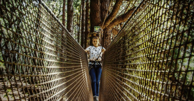 Tenerife: Forestal Park Tenerife Entry Ticket - Frequently Asked Questions