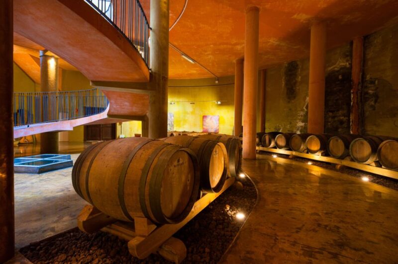 Tenerife: Full-Day Gastronomy and Wine Tour - Exploring Bodegas Monje