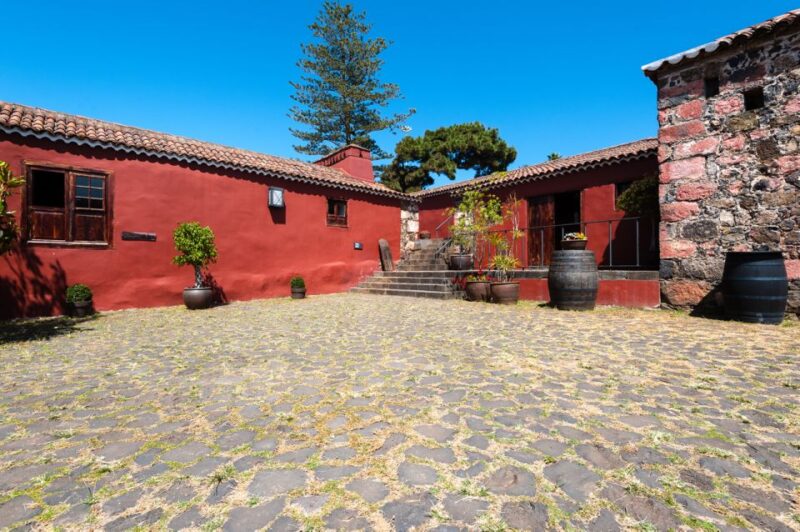 Tenerife: Full-Day Gastronomy and Wine Tour - Tour Inclusions