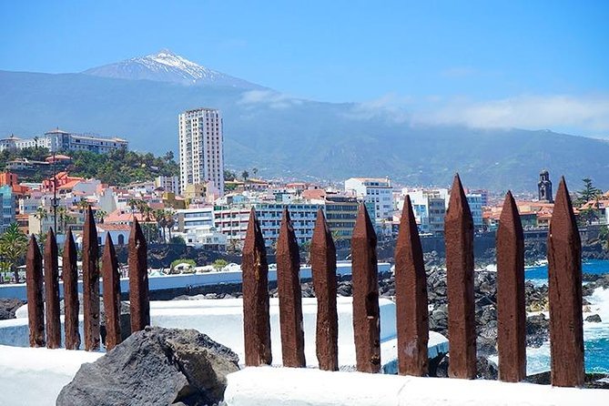 Tenerife Full Island Tour - Exploring Icod De Los Vinos