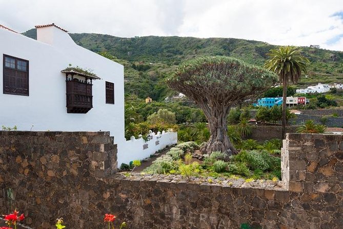 Tenerife Full Island Tour - Tour Inclusions and Requirements