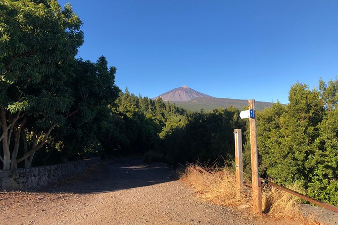 Tenerife Grand Tour: Including Teide National Park and Masca - Included in the Tour