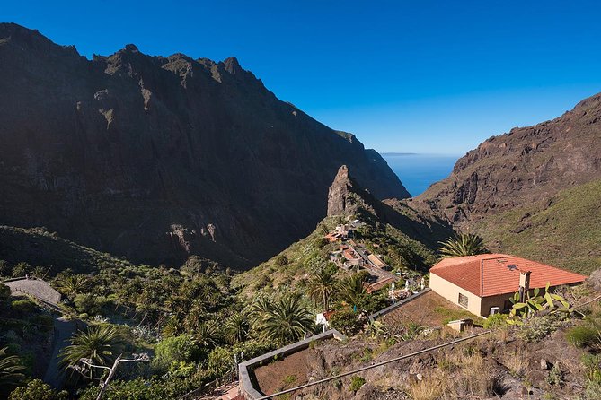 Tenerife Grand Tour: Including Teide National Park and Masca - Exploring Icod De Los Vinos