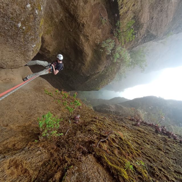 Tenerife: Guided Canyoning Experience in Los Arcos - Key Points