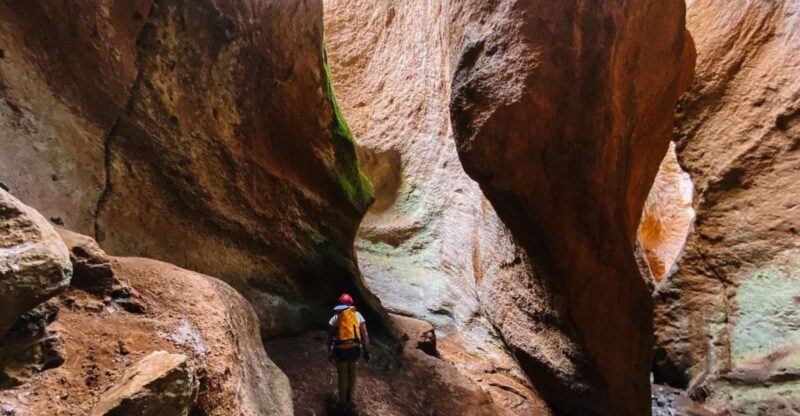 Tenerife: Guided Canyoning Experience in Los Arcos - Adrenaline-Filled Abseiling Adventure
