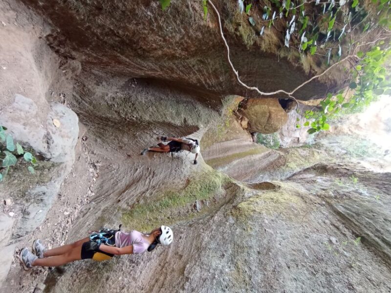Tenerife: Guided Canyoning Experience in Los Arcos - Safe Canyoning Experience With Trained Guides