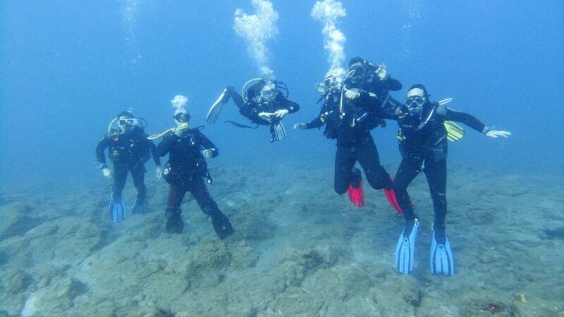 Tenerife; Guided Scuba Diving Trips by Boat in Small Groups - Frequently Asked Questions