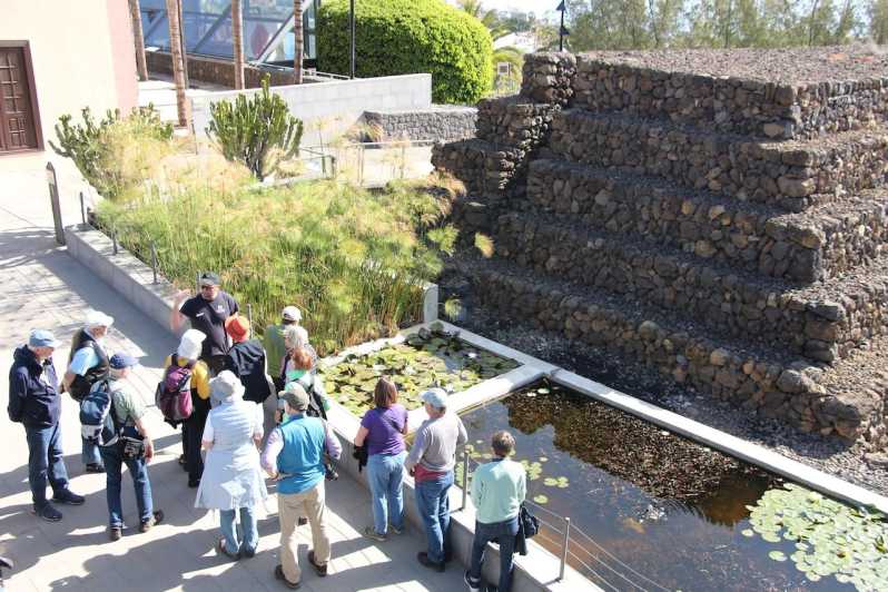 Tenerife: Guided Tour at Pyramids of Güímar - Customer Feedback