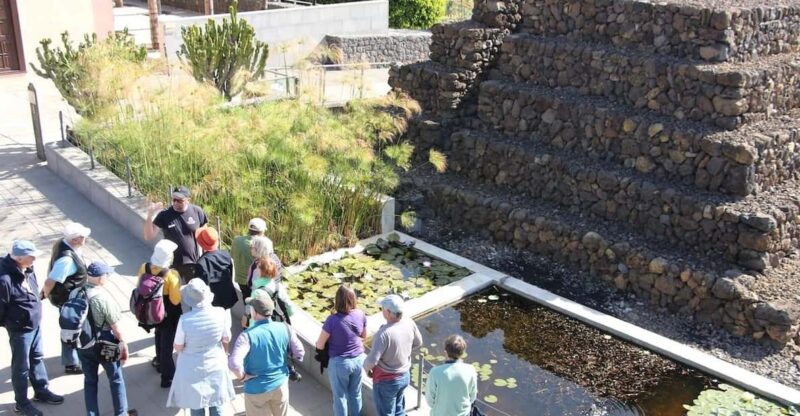 Tenerife: Guided Tour at Pyramids of Güímar - Exploring Unique Lava Rock Formations