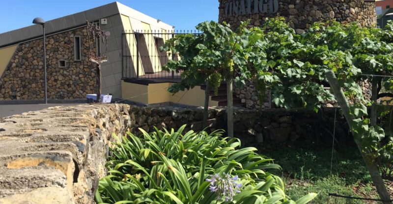 Tenerife: Guided Tour With Tasting of 6 Wines - Key Points