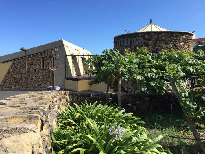 Tenerife: Guided Tour With Tasting of 6 Wines - Experience Highlights