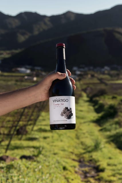 Tenerife: Guided Tour With Tasting of 6 Wines - Grape Varieties and Canary Viticulture