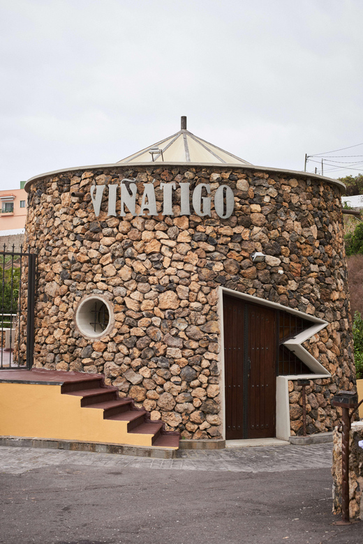 Tenerife: Guided Tour With Tasting of 6 Wines - Winerys Wine Activity