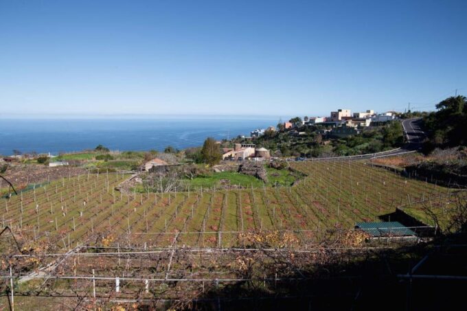 Tenerife: Guided Tour With Tasting of 6 Wines - Frequently Asked Questions
