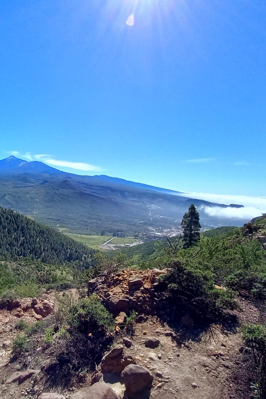 Tenerife: Hiking Above the Village of Masca - Pricing and Booking