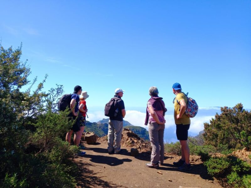 Tenerife: Hiking Above the Village of Masca - Pickup Locations and Transportation