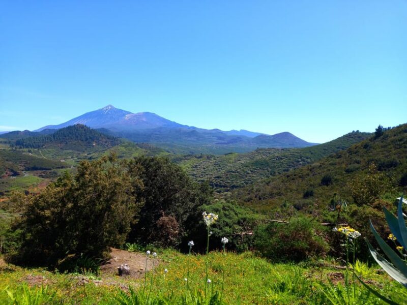 Tenerife: Hiking Above the Village of Masca - Preparing for the Hike