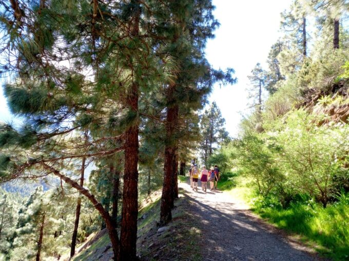 Tenerife: Hiking Above the Village of Masca - Frequently Asked Questions