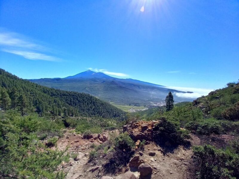 Tenerife: Hiking Above the Village of Masca - Key Points