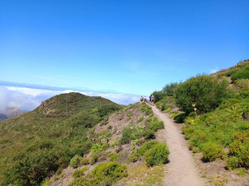 Tenerife: Hiking Above the Village of Masca - Trekking Through Lush Forests
