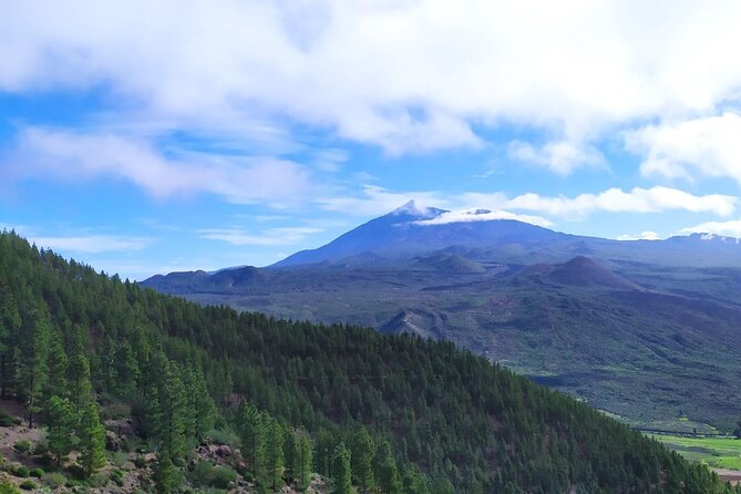 Tenerife: Hiking Through Enchanted Laurel Forest Above Masca - Suitability and Restrictions