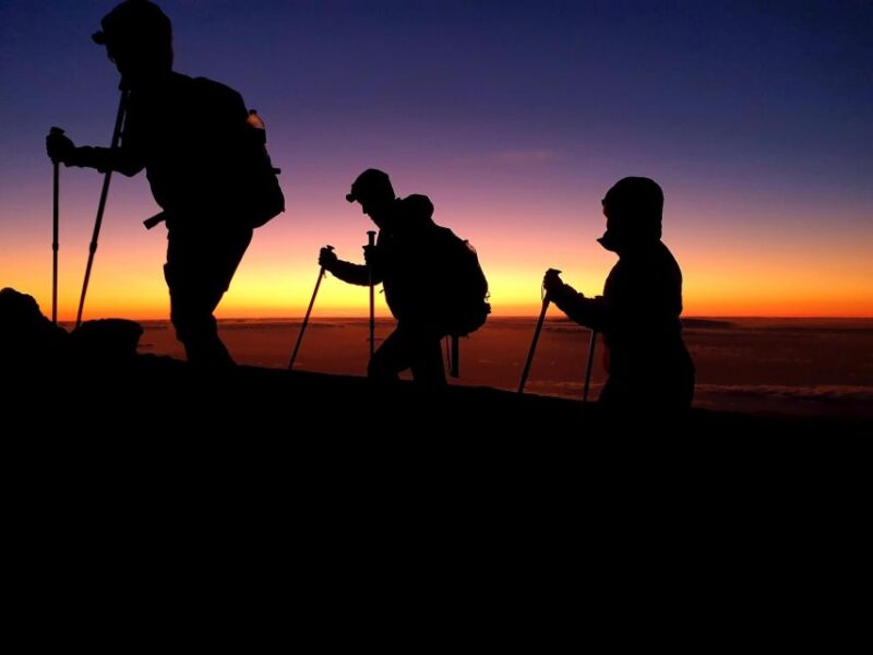Tenerife: Hiking to Teide Peak 3715m - Exclusions