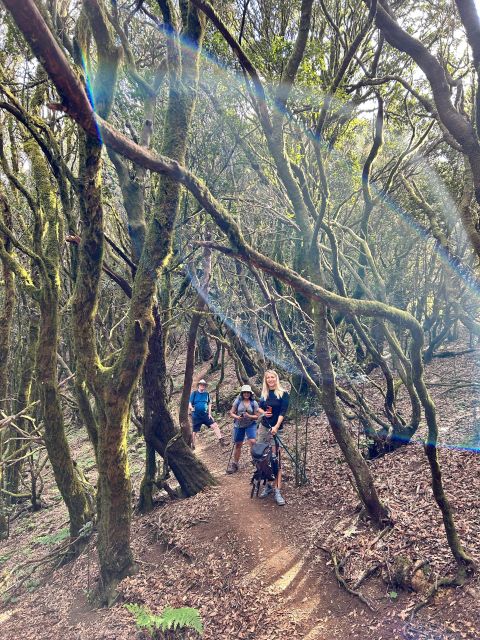 Tenerife: Hiking Tour Above Masca and Enchanted Forest - Pricing, Booking, and Cancellation Policy