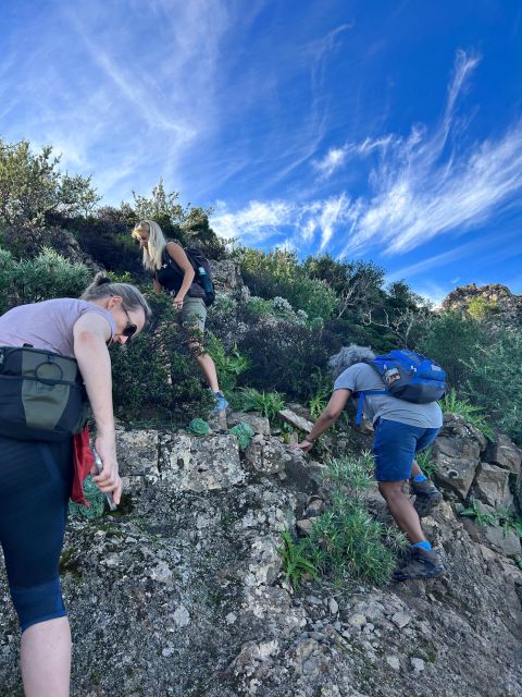 Tenerife: Hiking Tour Above Masca and Enchanted Forest - Frequently Asked Questions