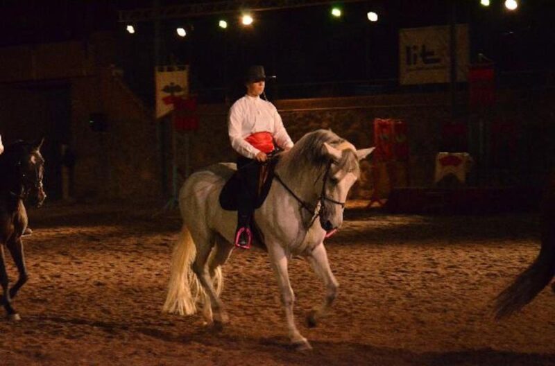 Tenerife: Horse Show Entry Ticket With Optional Dinner - Venue and Accessibility
