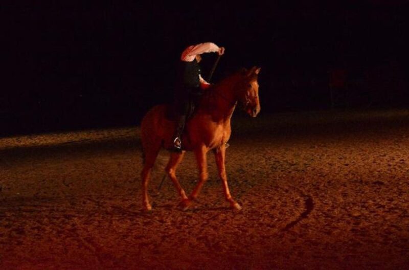Tenerife: Horse Show Entry Ticket With Optional Dinner - Customer Feedback