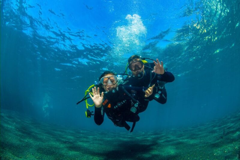 Tenerife: Introductory Dive for Cruise Ship Passengers - Key Points