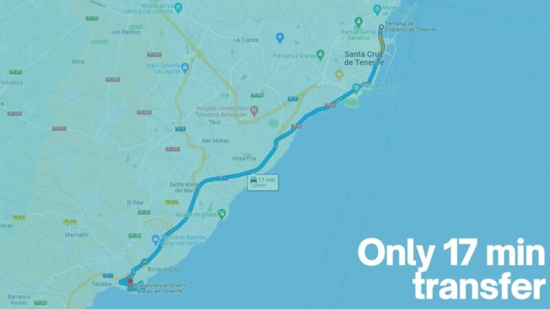 Tenerife: Introductory Dive for Cruise Ship Passengers - Dive Location and Accessibility