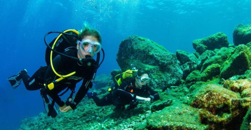 Tenerife: Introductory Dive for Cruise Ship Passengers - Participant Details and Pricing