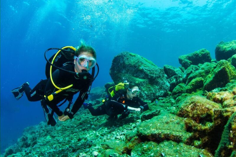 Tenerife: Introductory Dive for Cruise Ship Passengers - Transfers and Duration