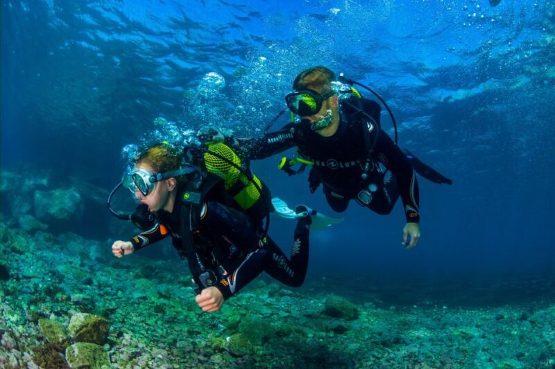 Tenerife: Introductory Dive for Cruise Ship Passengers - Booking and Cancellation Policy