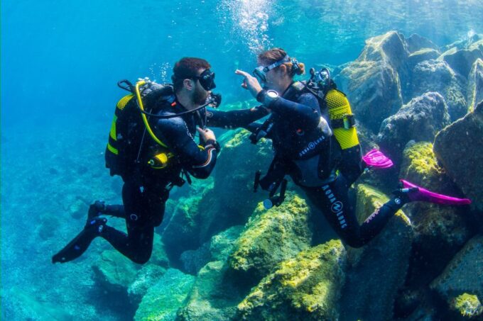 Tenerife: Introductory Dive for Cruise Ship Passengers - Perfect for Cruisers