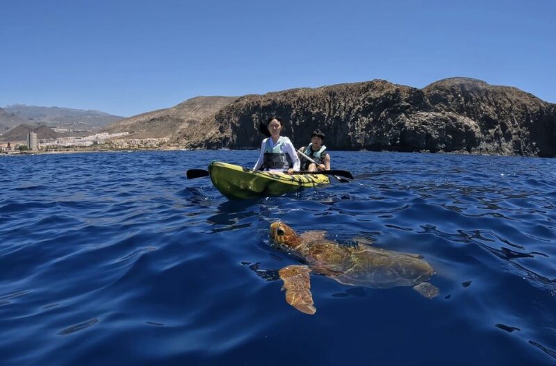 Tenerife: Kayak and Snorkel With Turtles - Included Equipment and Amenities