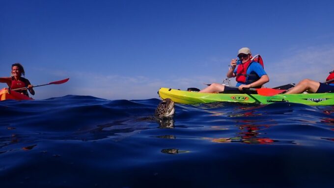 Tenerife: Kayak and Snorkel With Turtles, Wetsuits Included - Customer Feedback