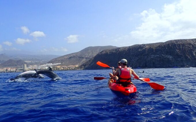 Tenerife: Kayak and Snorkel With Turtles, Wetsuits Included - What to Bring and Prepare