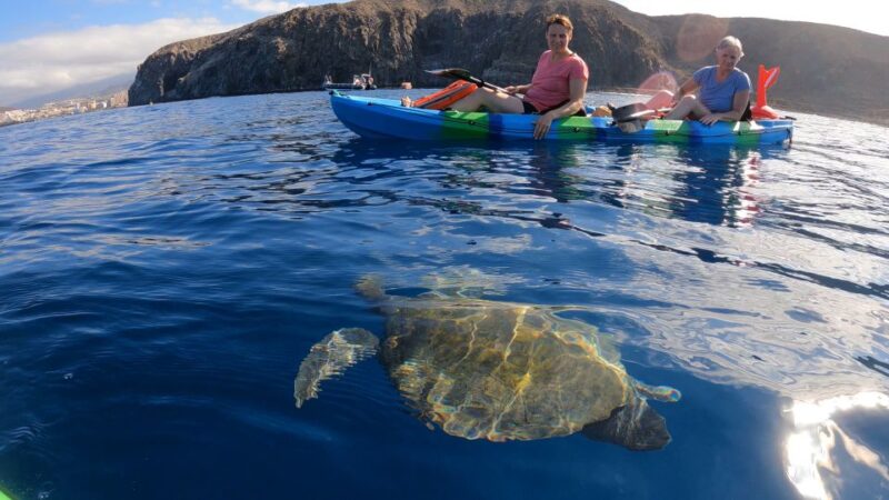Tenerife: Kayak and Snorkeling Tour With Photos - Snorkeling Locations