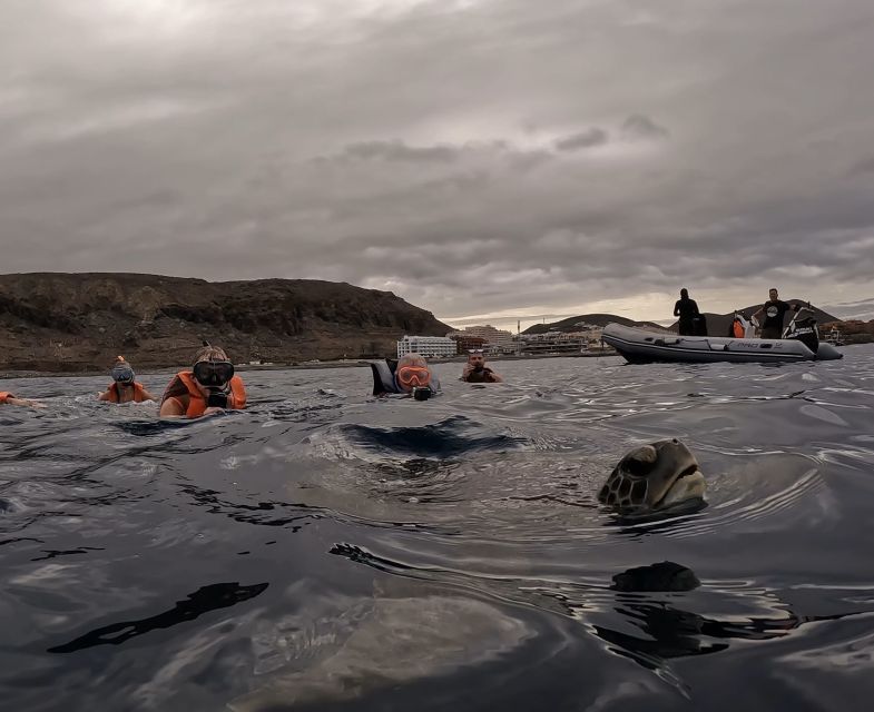 Tenerife: Kayak and Snorkeling Tour With Photos - Exploring Sea Caves and Views
