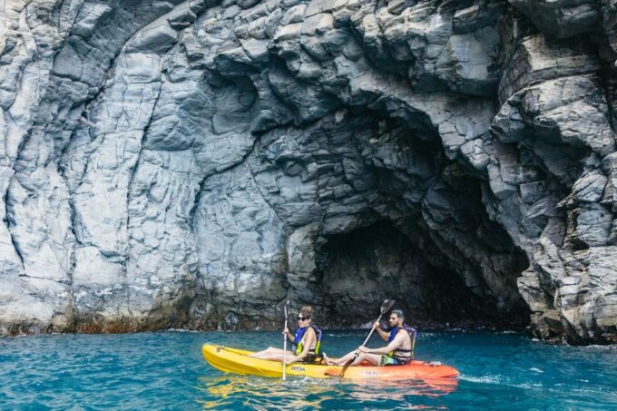 Tenerife: Kayak Safari and Sea Turtle Snorkeling - Frequently Asked Questions