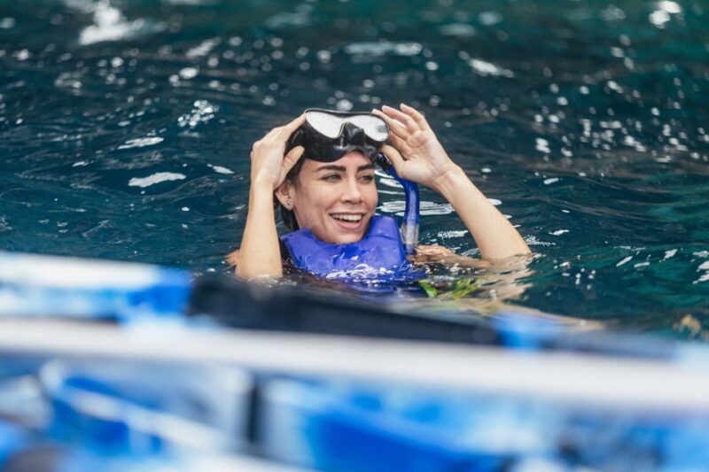 Tenerife: Kayak Safari and Sea Turtle Snorkeling With Photos - Itinerary Highlights