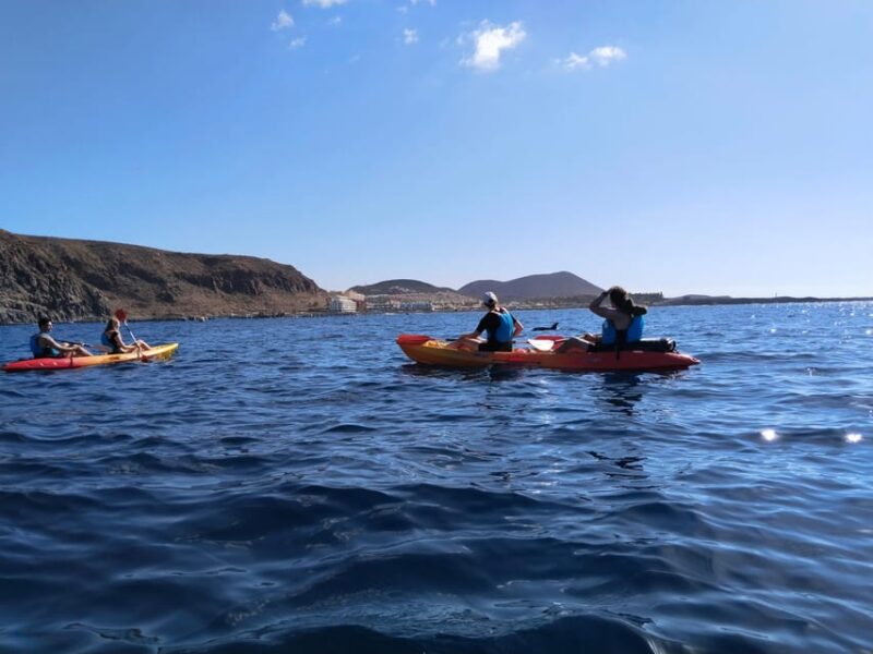 Tenerife: Kayak & Snorkel, Snacks, Photos & Sea Life Safari - Customer Feedback