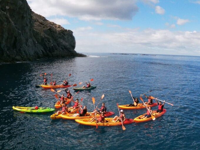 Tenerife: Kayak & Snorkeling, Marine Fauna Watching - Discovering Tenerifes Marine Wonders