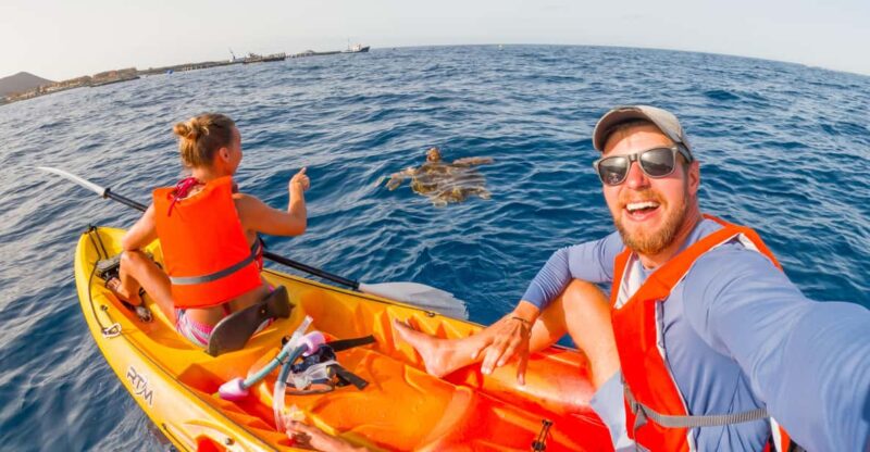 Tenerife: Kayak & Snorkeling Tour - Small Groups - Itinerary Details