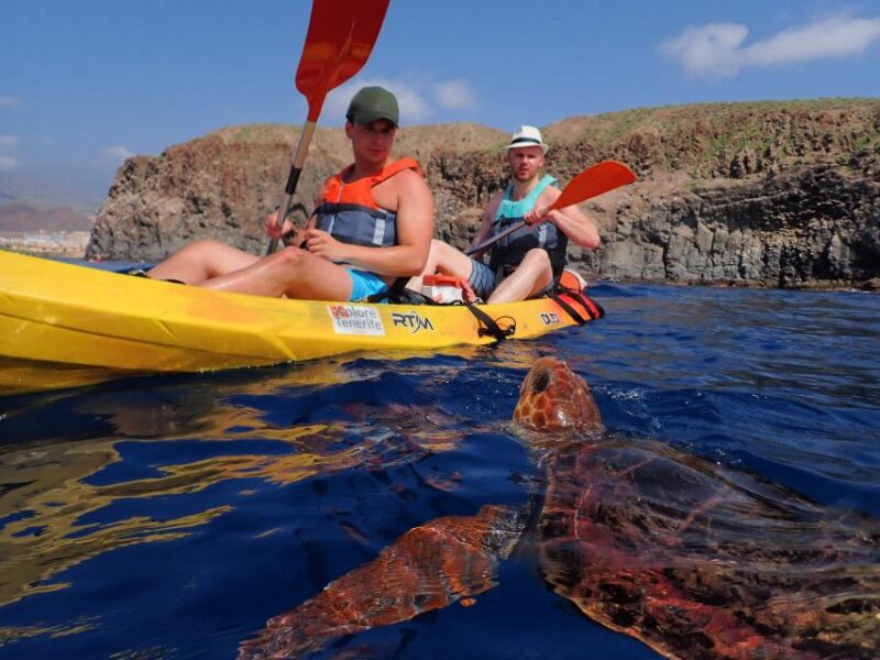 Tenerife: Kayaking and Snorkeling With Turtles - Wildlife Encounter and Eco-Friendliness
