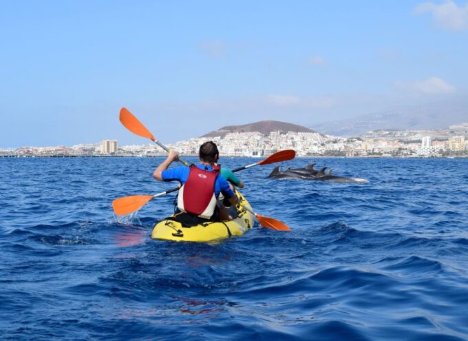 Tenerife: Kayaking and Snorkeling With Turtles - Snorkeling Gear and Wetsuits