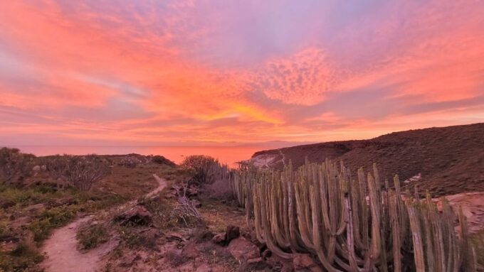 Tenerife: La Caleta Self-Guided Walking Tour - Recap