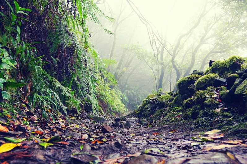 Tenerife: La Laguna & Anaga Hike - Key Points